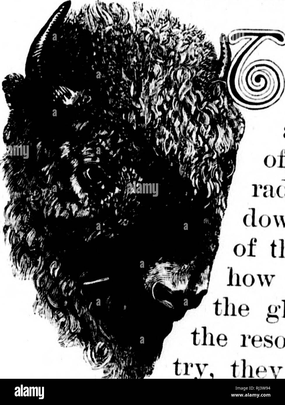 Cruisings In The Cascades Microform A Narrative Of Travel - cruisings in the cascades microform a narrative of travel exploration amateur photography hunting and fishing with special chapters on hunting